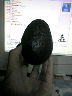 �A�{�J�h�yavocado�z